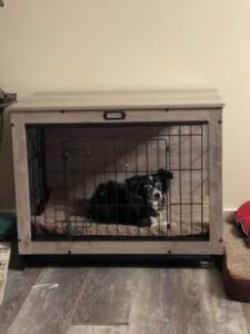 BG982GW03 Dog Crate photo review