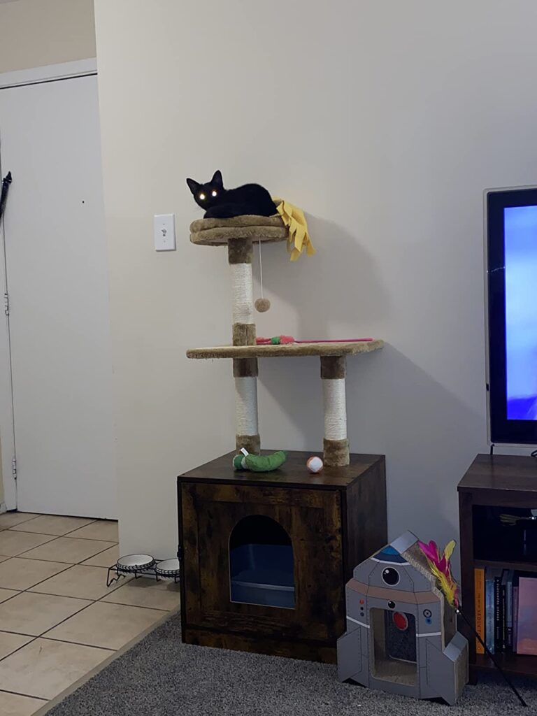 BF12MW03 Cat Litter Box with Cat Tree photo review