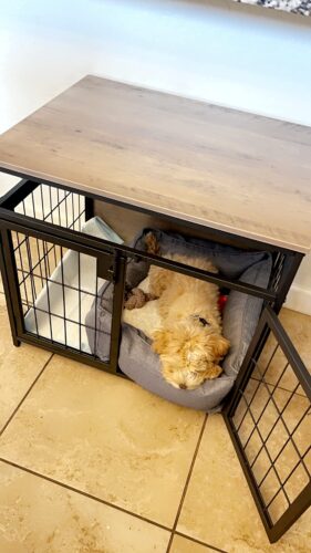 BG83GW03 Dog Crate photo review