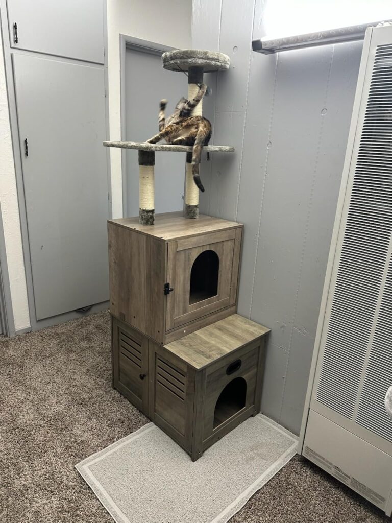 BG12MW03 Cat Litter Box with Cat Tree photo review