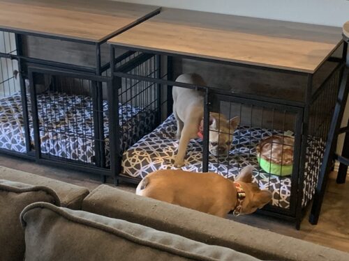 BG83GW03 Dog Crate photo review