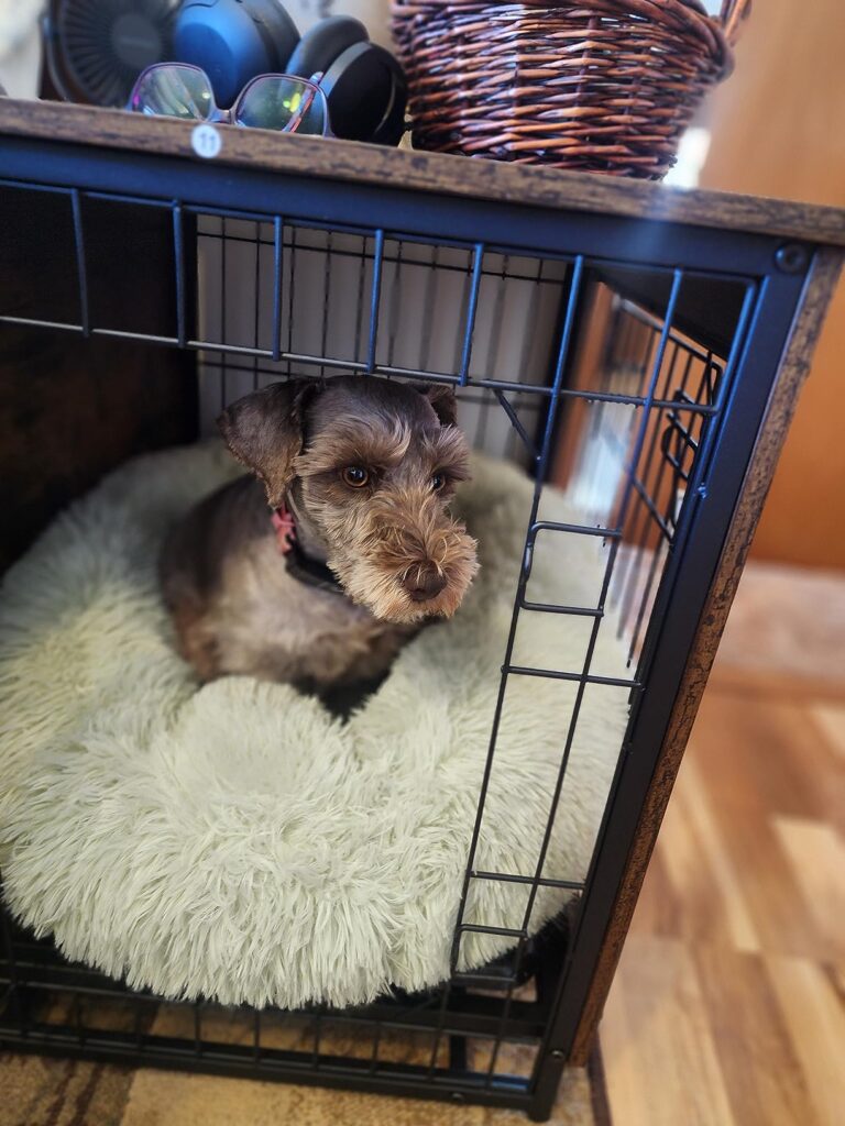 BF982GW03G1 Dog Crate photo review