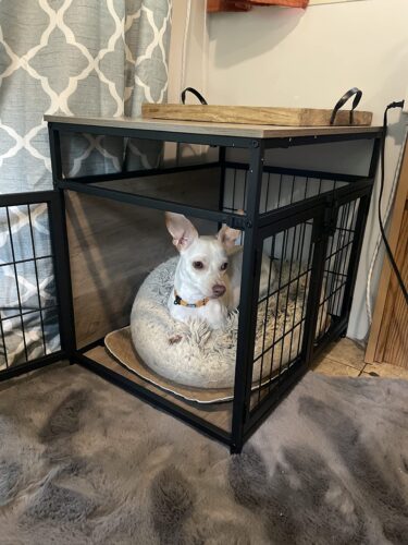 BF83GW03 Dog Crate photo review