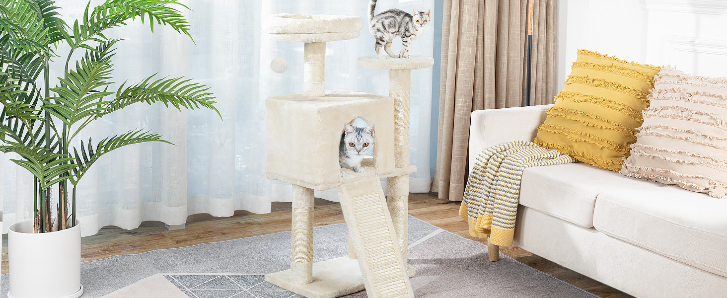котяче дерево