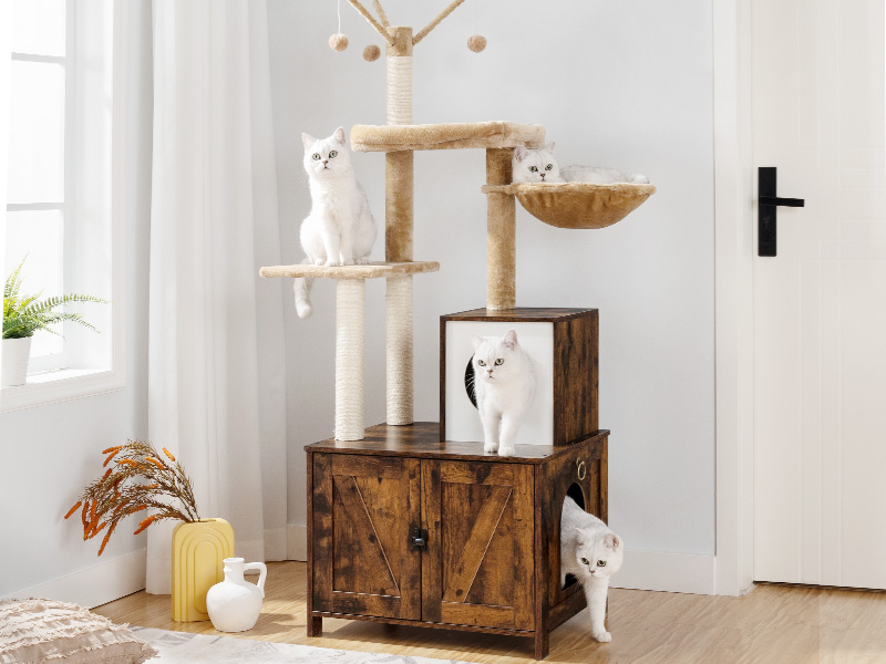 Maison pour chat en bois avec tour d'arbre à chat