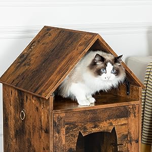 hidden cat house