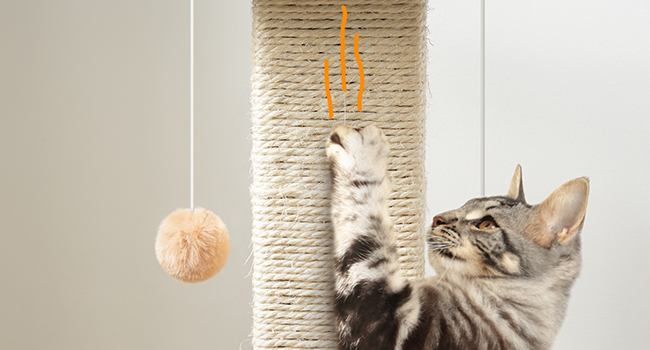 sisal post