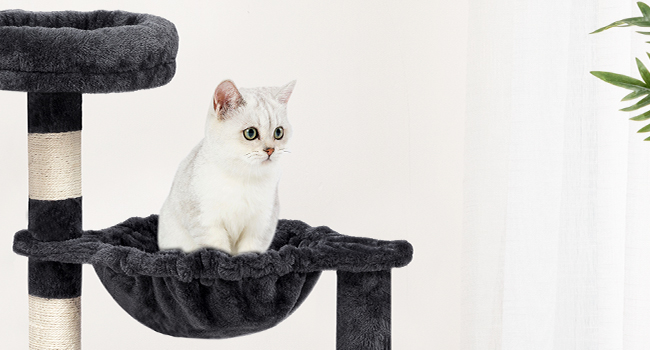 Small Cat Tree