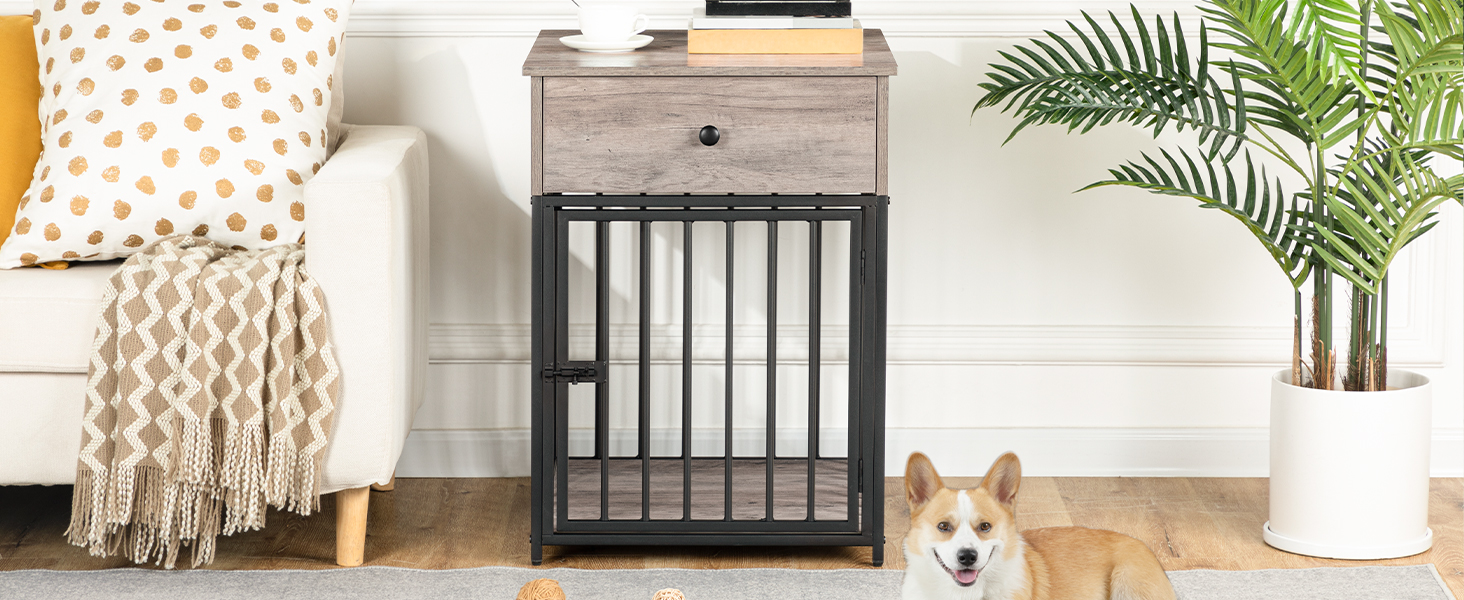 dog crate