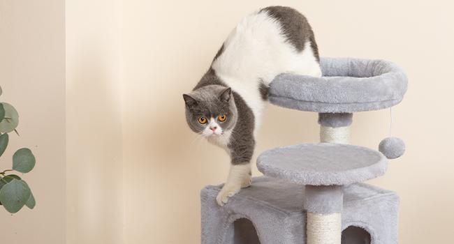 3-Tier Cat Condo Furniture