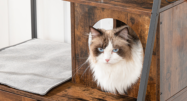 litter box enclosure