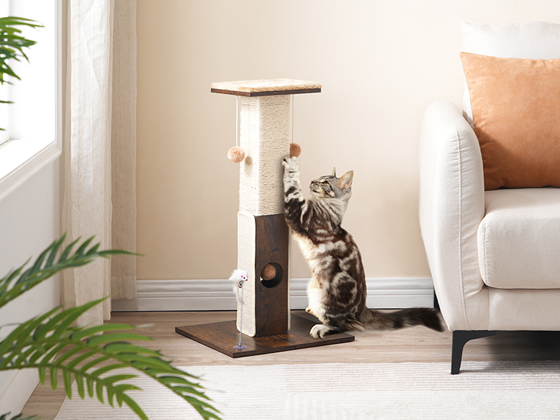 cat scratching post