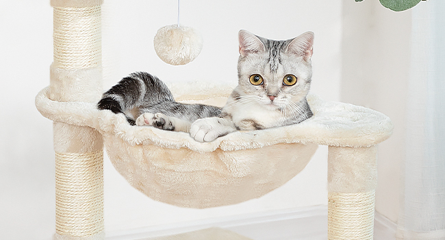 Basket Hammock