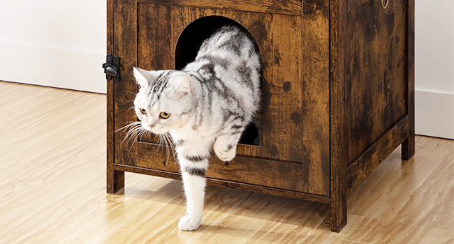 Casetta per gatti in legno con torre per gatti