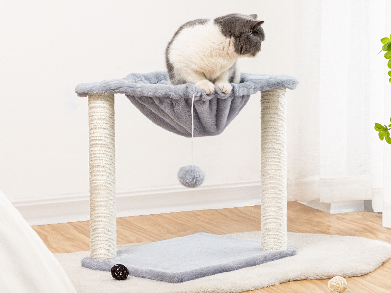 crann cat