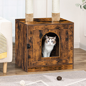 Caja de arena con torre de árbol para gatos