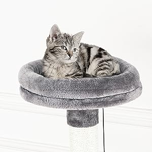 Litter Box Enclosure with Cat Tree Tower