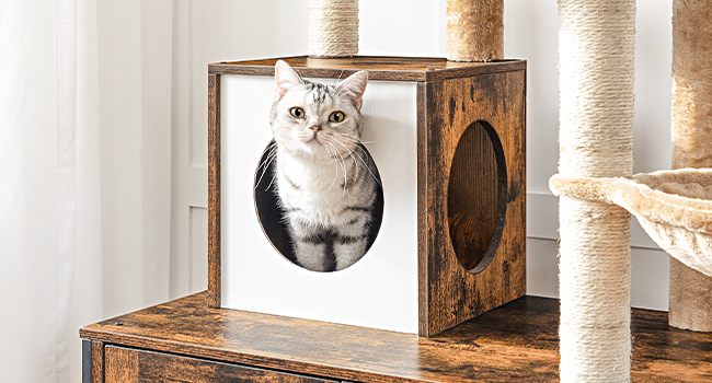 Универсальная мебель для домашних кошек «все в одном»