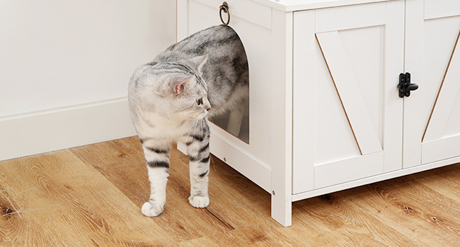 Katzentoilettenmöbel versteckt