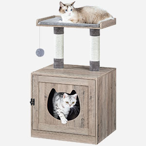 caja de arena con torre de árbol para gatos