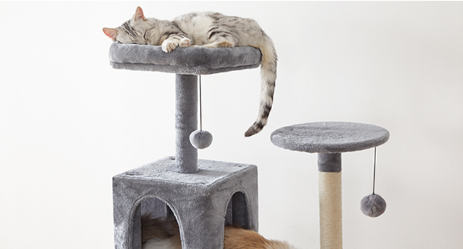 cat tree