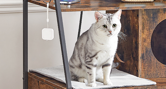 Litter Box Enclosure