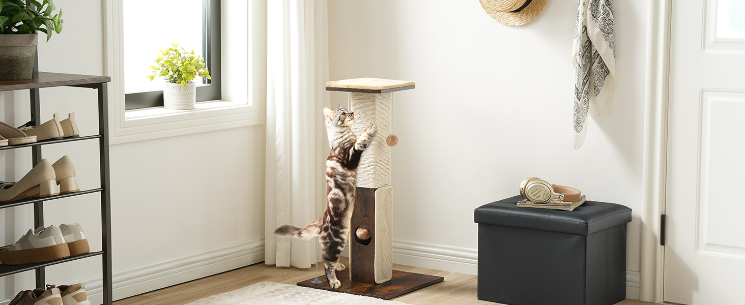 cat scratching post