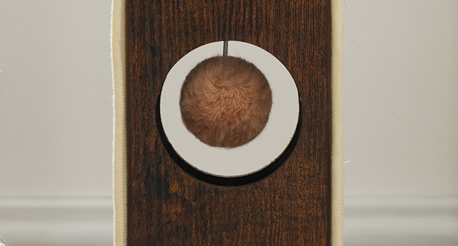 ball in the hole