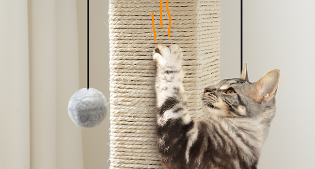 sisal post