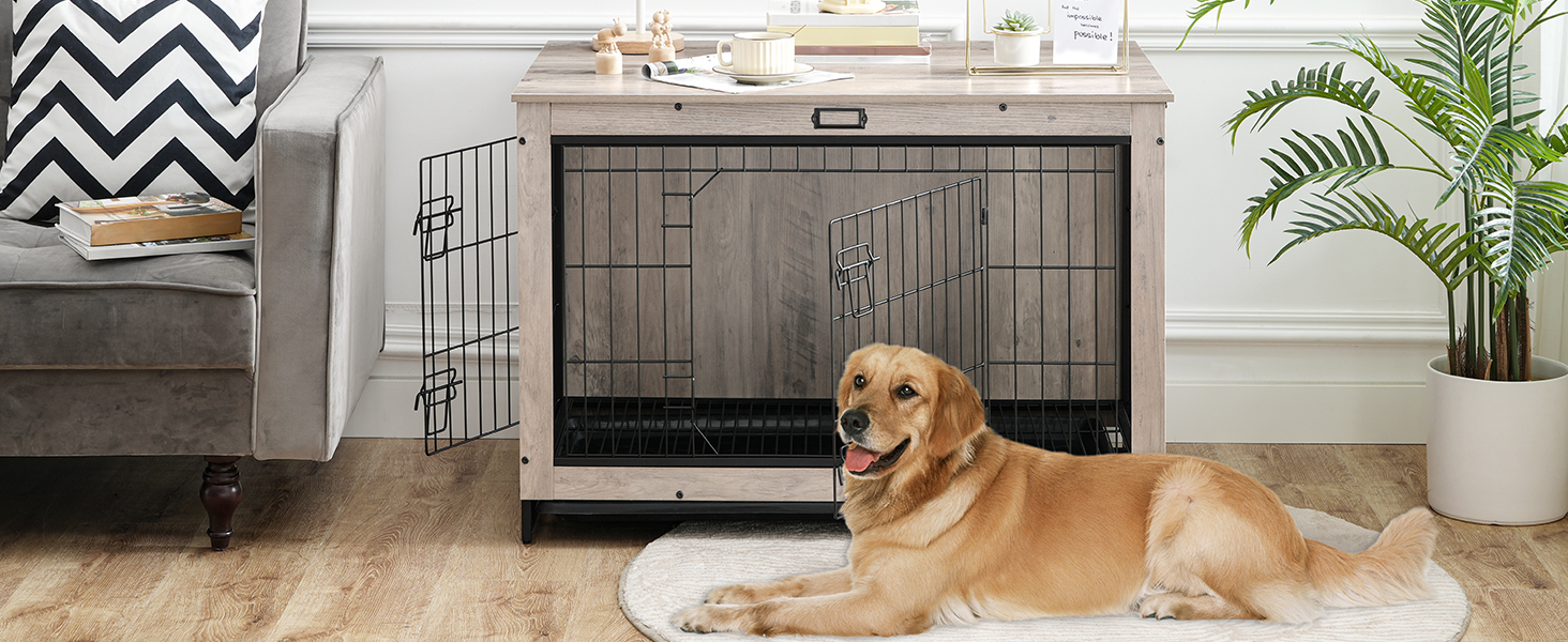 dog crate