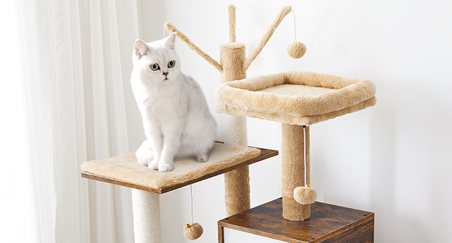 fluffy soft perches