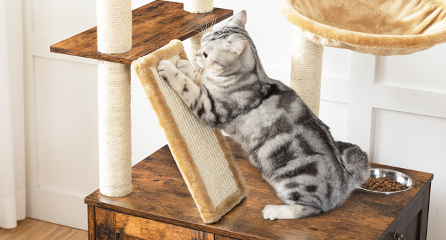 Katzenwaschraum aus Holz mit Katzenturm