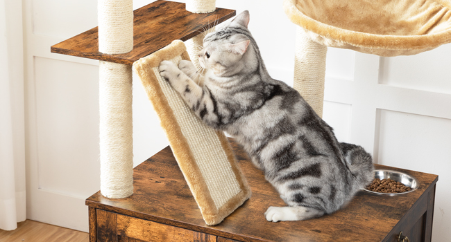 wooden cat washroom with cat tower
